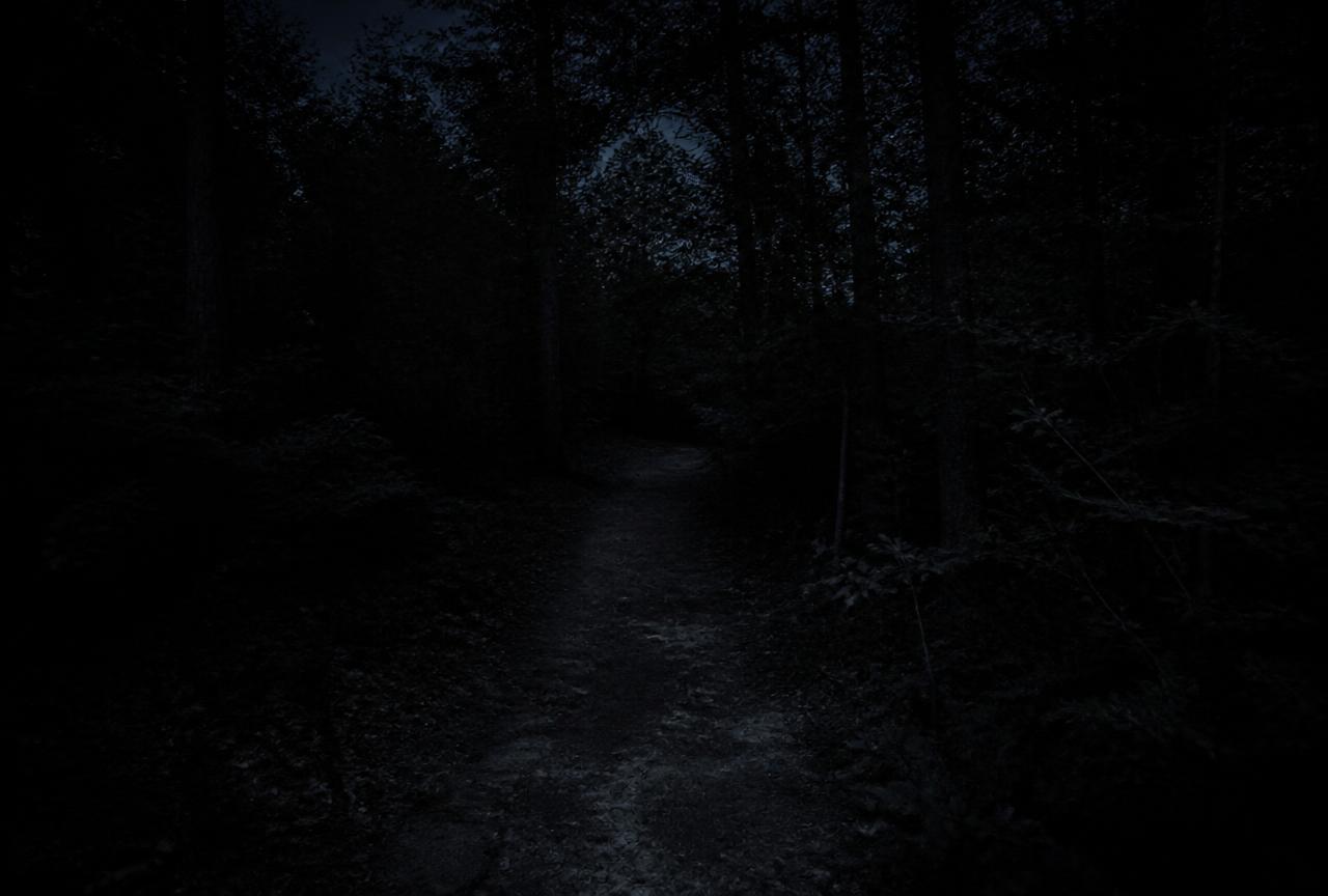 Trail at night without StrapLights®